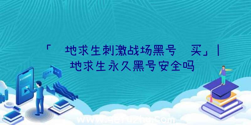 「绝地求生刺激战场黑号购买」|绝地求生永久黑号安全吗